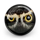 OTB Crazy Owl