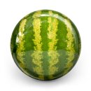 OTB Water Melon 10 lbs