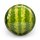 OTB Water Melon 16 lbs